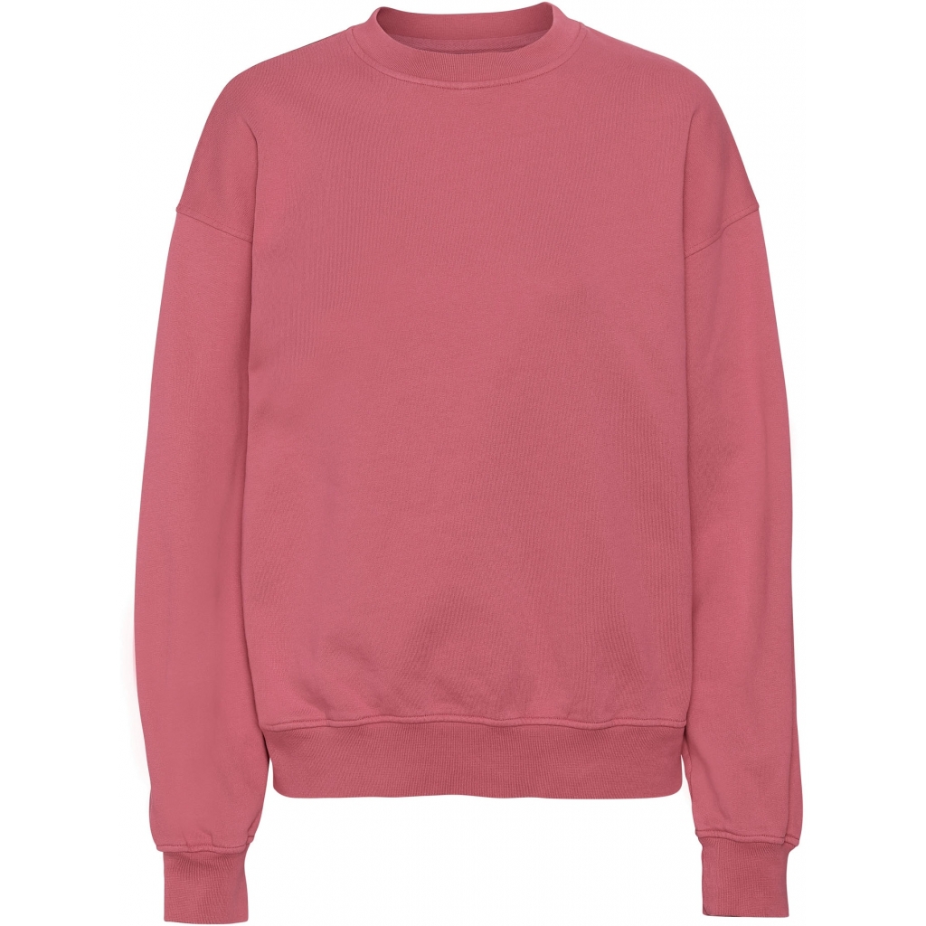 5602991063290 - Sweatshirt mit Rundhalsausschnitt Organic oversized raspberry pink