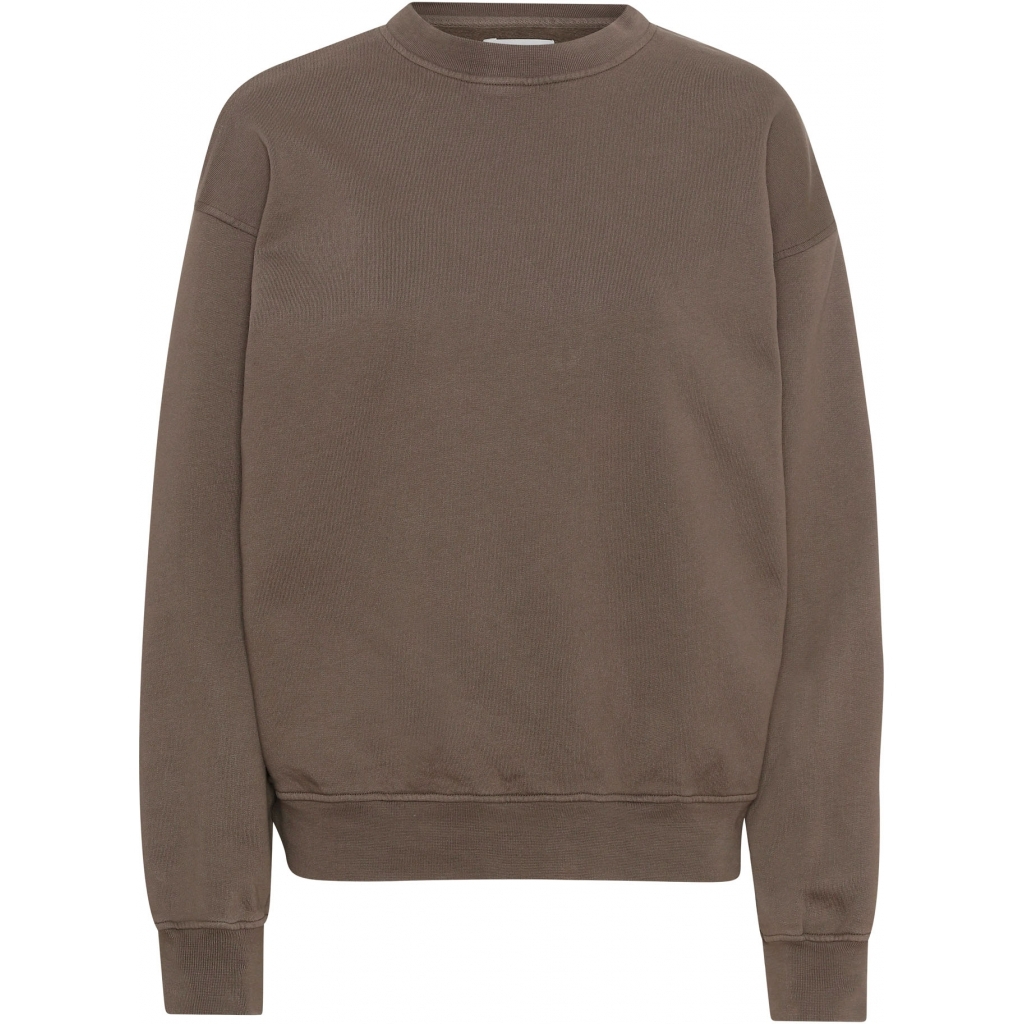 5602991064853 - Sweatshirt mit Rundhalsausschnitt Organic oversized cedar brown