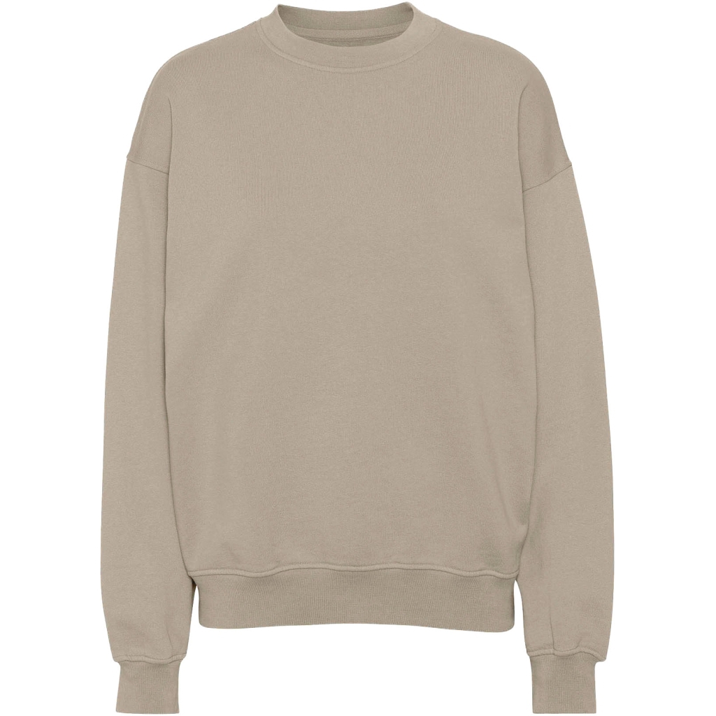 5602991064969 - Sweatshirt mit Rundhalsausschnitt Organic oversized oyster grey