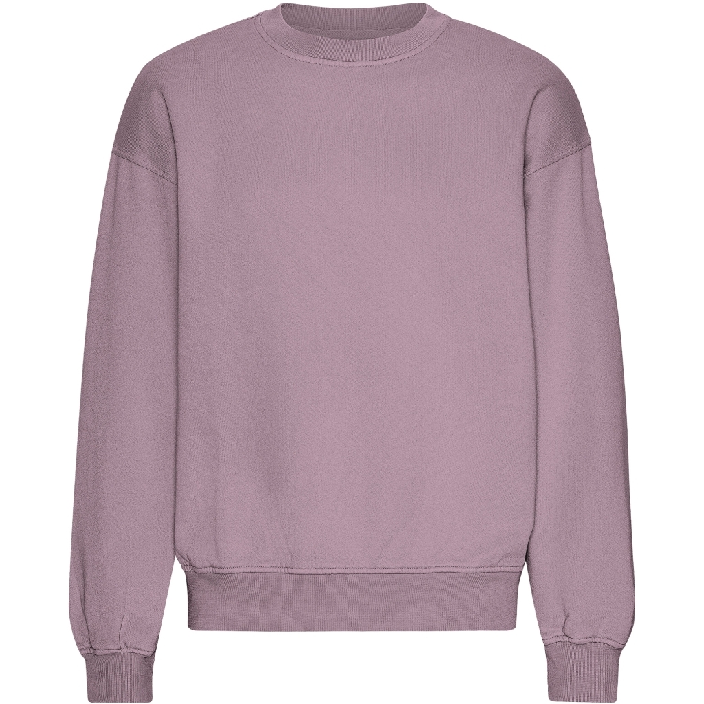 5602991065027 - Sweatshirt mit Rundhalsausschnitt in Oversize-Optik Organic Pearly Purple