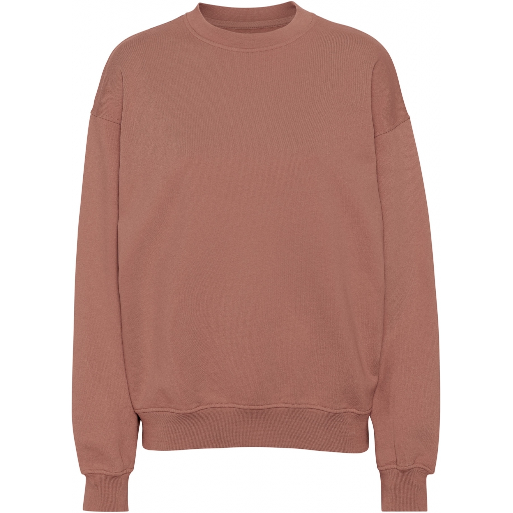 5602991065065 - Sweatshirt mit Rundhalsausschnitt Organic oversized rosewood mist