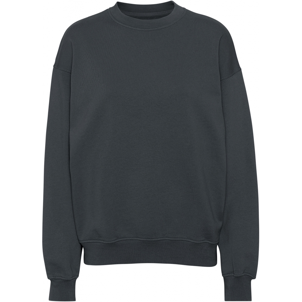 5602991073800 - Sweatshirt mit Rundhalsausschnitt Organic oversized lava grey