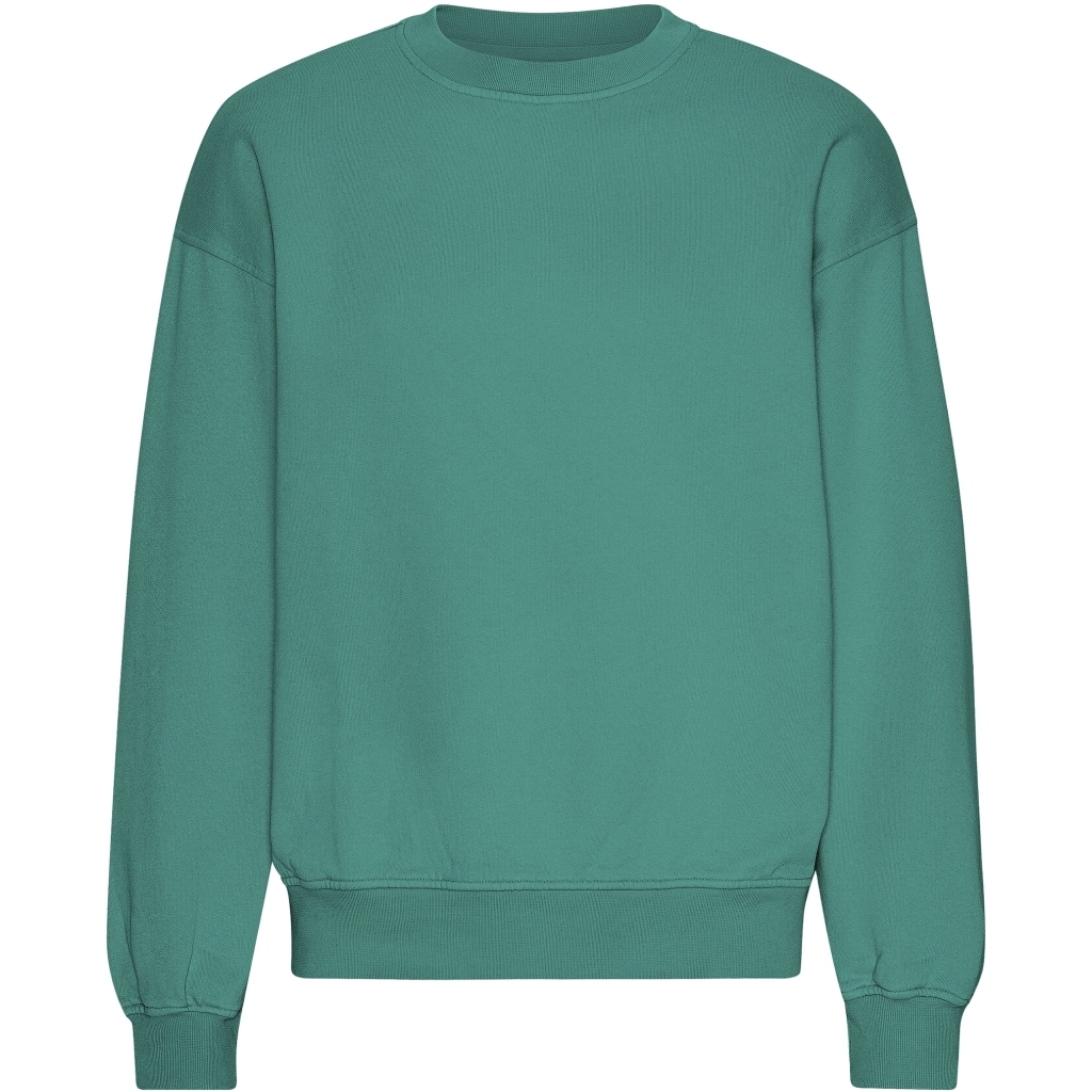 5602991083601 - Sweatshirt mit Rundhalsausschnitt in Oversize-Optik Organic Pine Green