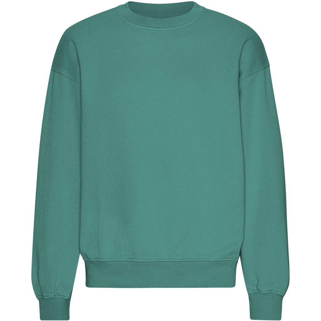 5602991083618 - Sweatshirt mit Rundhalsausschnitt in Oversize-Optik Organic Pine Green