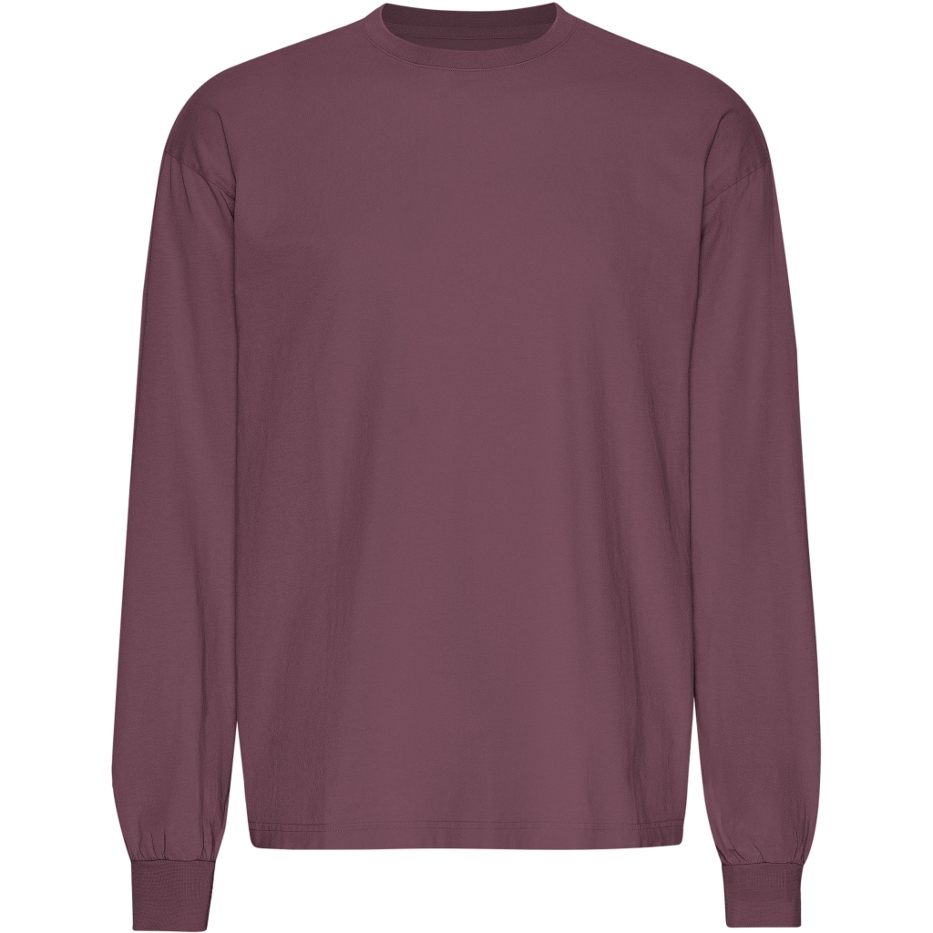 5602991100261 - Oversized Langarmshirt Organic Dusty Plum