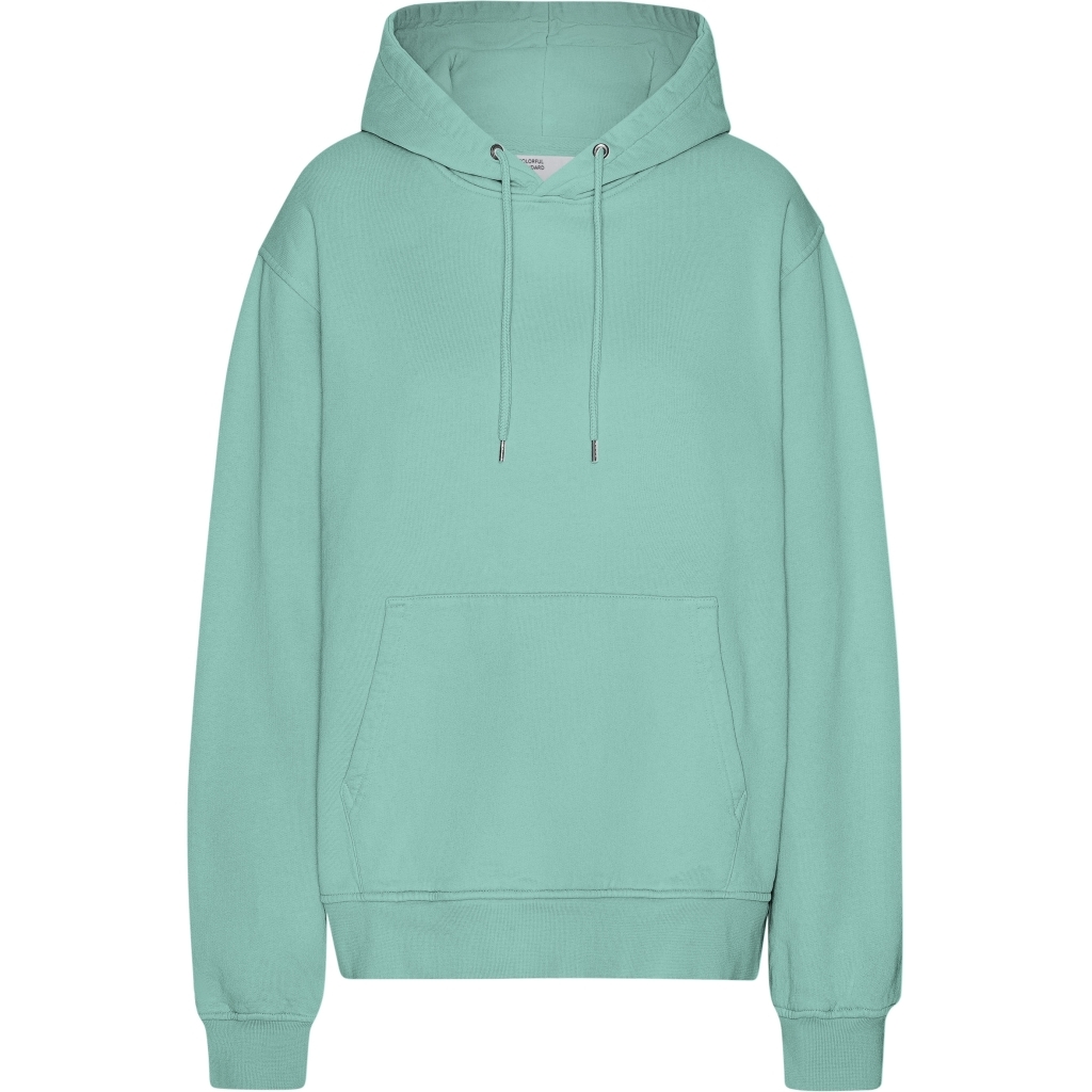 5602991102142 - Hoodie Classic Organic Seafoam Green