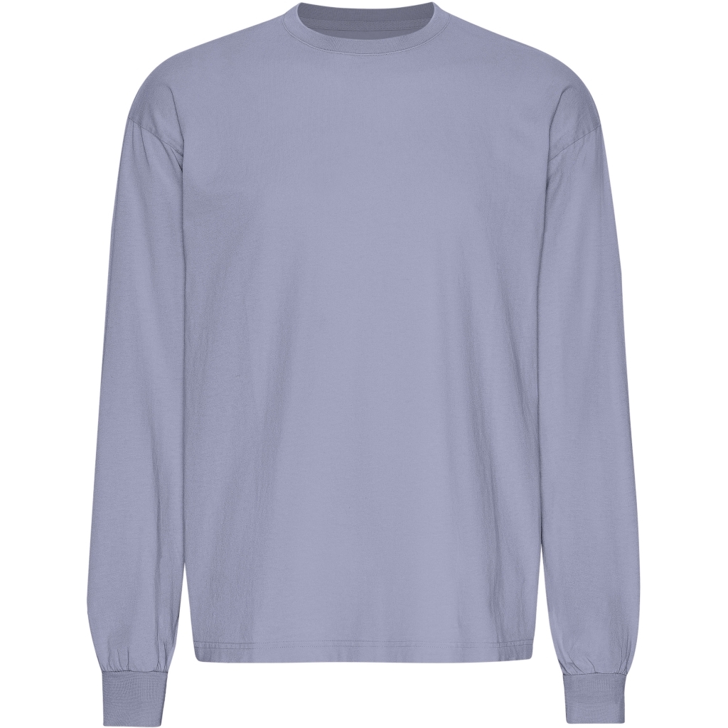 5602991102913 - Oversized Langarmshirt Organic Purple Jade