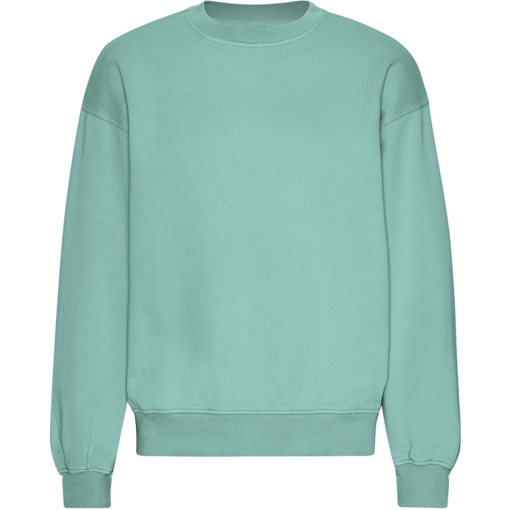 5602991103576 - Oversize-Sweatshirt Organic