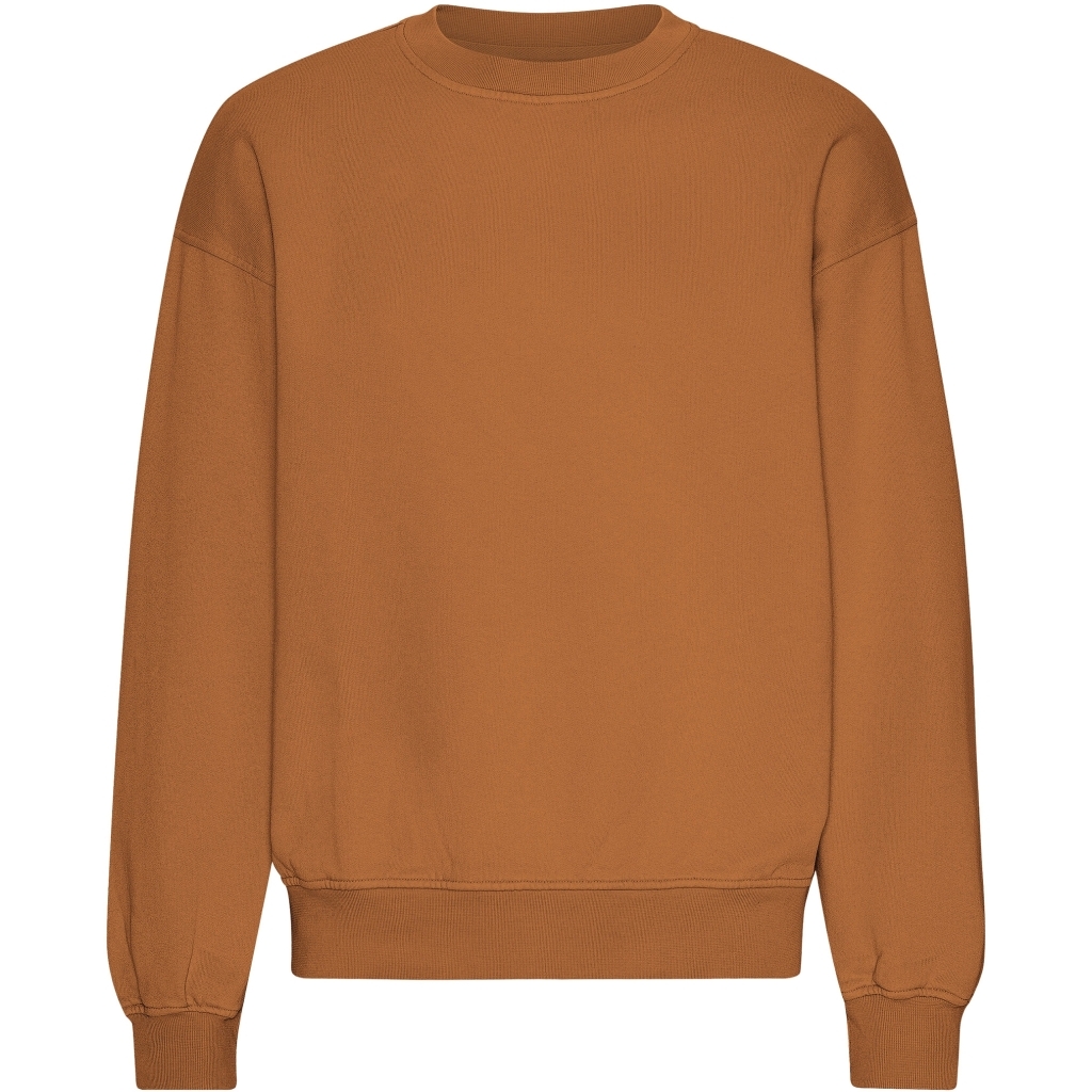 5602991113827 - Sweatshirt mit Rundhalsausschnitt in Oversize-Optik Organic Ginger Brown