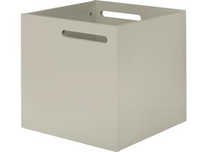 5603449317002 - Aufbewahrungsbox TEMAHOME Berlin Aufbewahrungsboxen Gr B H T 34 cm x 34 cm x 34 cm grau Aufbewahrungsbox Regal Regalwürfel Ordnungsboxen Aufbewahrungsboxen mit Muldegriffen für Transport verschiedene Farbvarianten erhältlich