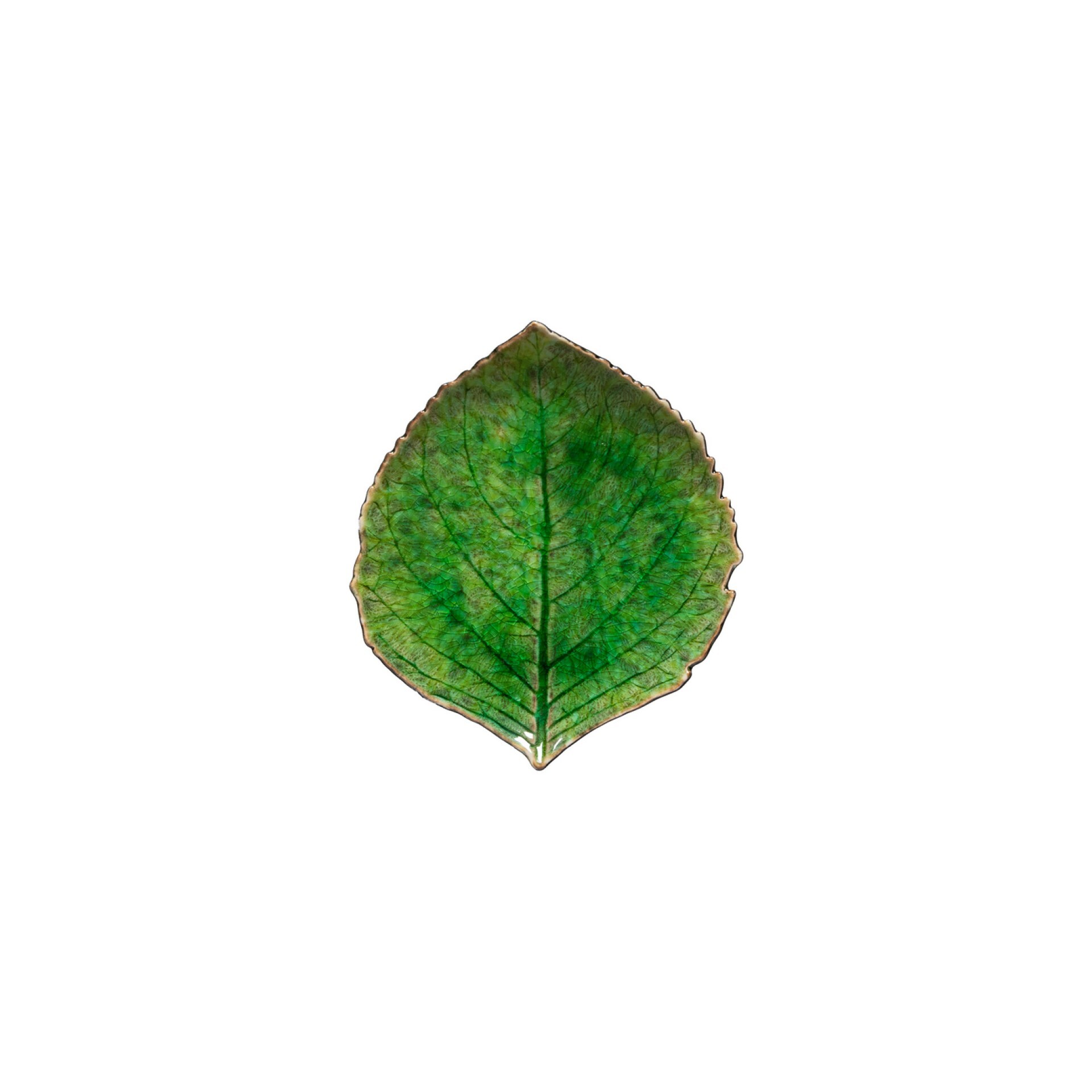 5606739957681 - Asiet hydrangea leaf Riviera 17 x 15 cm Green Black Ceramic