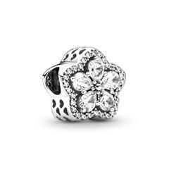 5700302900491 - Charm Timeless Funkelnde Schneeflocke Pavé 799224C01