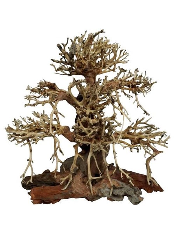 5701883401780 - Tree roots Old Bonsai 40x20x40 cm