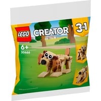 5702017591063 - 30666 Creator 3-in-1 Geschenkset mit Tieren Konstruktionsspielzeug