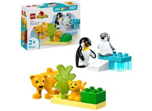 5702017783833 - 10442 DUPLO Town Wildtier-Familien Pinguine und Löwen Konstruktionsspielzeug 5702017783833 - 10442 DUPLO Town Wildtier-Familien Pinguine und Löwen Konstruktionsspielzeug