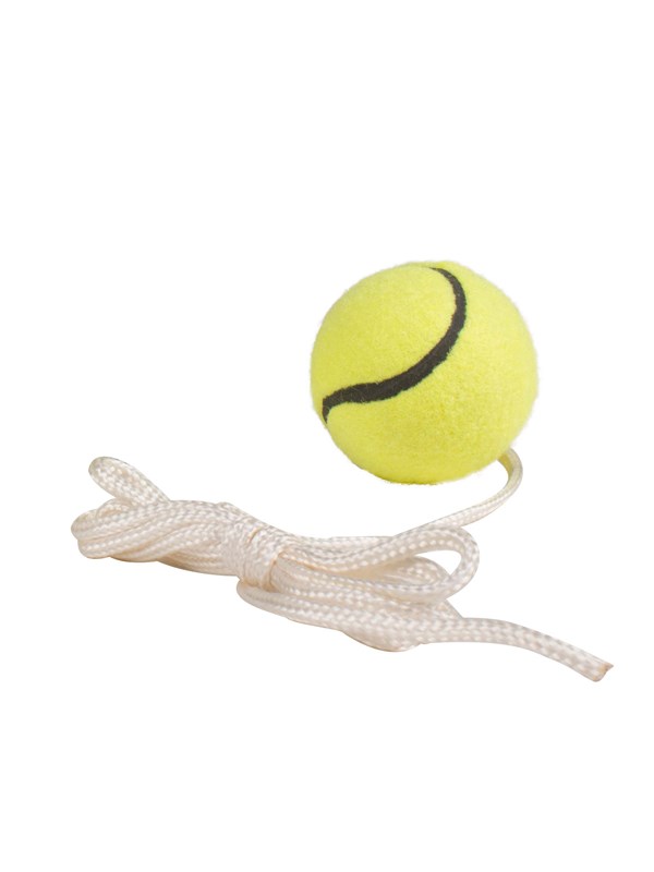 5704035322957 - Extra Ball for Pole Tennis