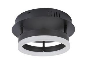 5704142154953 - Wottes - led Deckenlampe Schwarz Deckenleuchte für Schlafzimmer Wohnzimmer Esszimmer Küche Warmweißes Licht