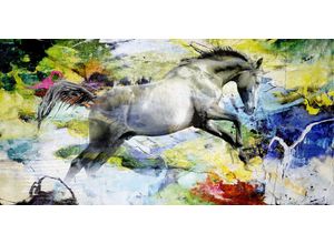 5708443858008 - Keilrahmenbild COLOUR HORSE (BH 140x70 cm)