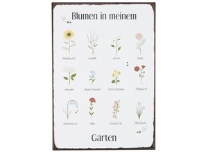 5709898360689 - Metallschild Blumen in meinem Garten 14x20 cm