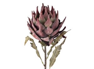 5711173332076 - Kunstblume Protea Stiel Violett Ø 20 x H76 cm
