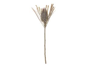 5711173332113 - Palmflower Stiel Künstliche Blume Ø 21 x H72 cm