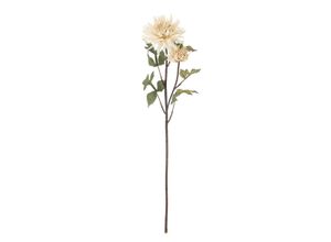 5711173332199 - Chrysantemum Stiel Künstlliche Blume Ø 25 x H80 cm 5711173332199 - Chrysantemum Stiel Künstlliche Blume Ø 25 x H80 cm