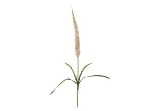 5711173333240 - Künstlicher Foxtail Stiel Kunstblume Ø 3 x H73 cm