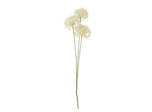 5711173333301 - Künstlicher Allium Stiel Weiß Kunstblume Ø 18xH635 cm