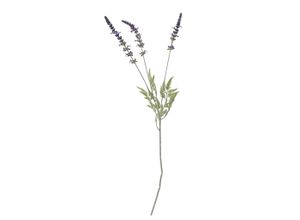 5711173334933 - Künstlicher Lavender Stiel Violett Ø 95xH655 cm