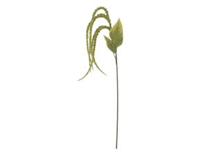 5711173335053 - Foxtail Stiel Grün Künstliche Blume Ø 13xH107 cm