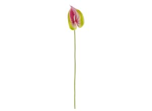 5711173335084 - Flamingo Stiel Pink Künstliche Blume Ø 10xH57 cm