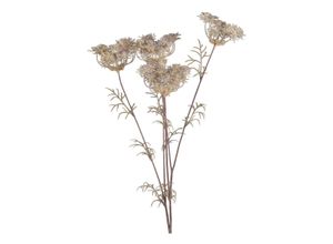 5712750274147 - Chic Antique Fleur Wilde Möhre Kunstblume H79 cm creme