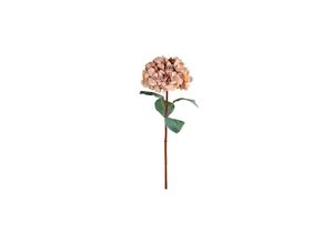 5712750305346 - Chic Antique Fleur Kunstblume Hortensie mit Blatt L80 cm beige