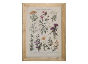 5712750353965 - Chic Antique Bild mit wilden Blumen und Naturrahmen Höhe 43 Länge 33 cm Wild Flowers