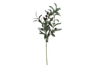 5712750359400 - Chic Antique Fleur Olivenzweig Höhe 74 cm