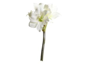 5712750373369 - Chic Antique Fleur künstliche Amaryllis mit Schnee und Glitzer 64 cm creme