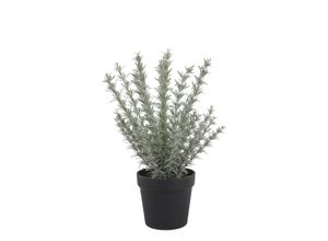 5712750384082 - Chic Antique Fleur künstlicher Rosmarin Topf H45 Ø 15 cm grün 5712750384082 - Chic Antique Fleur künstlicher Rosmarin Topf H45 Ø 15 cm grün
