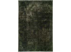 5713917018123 - Miami Teppich 200x300 cm grün