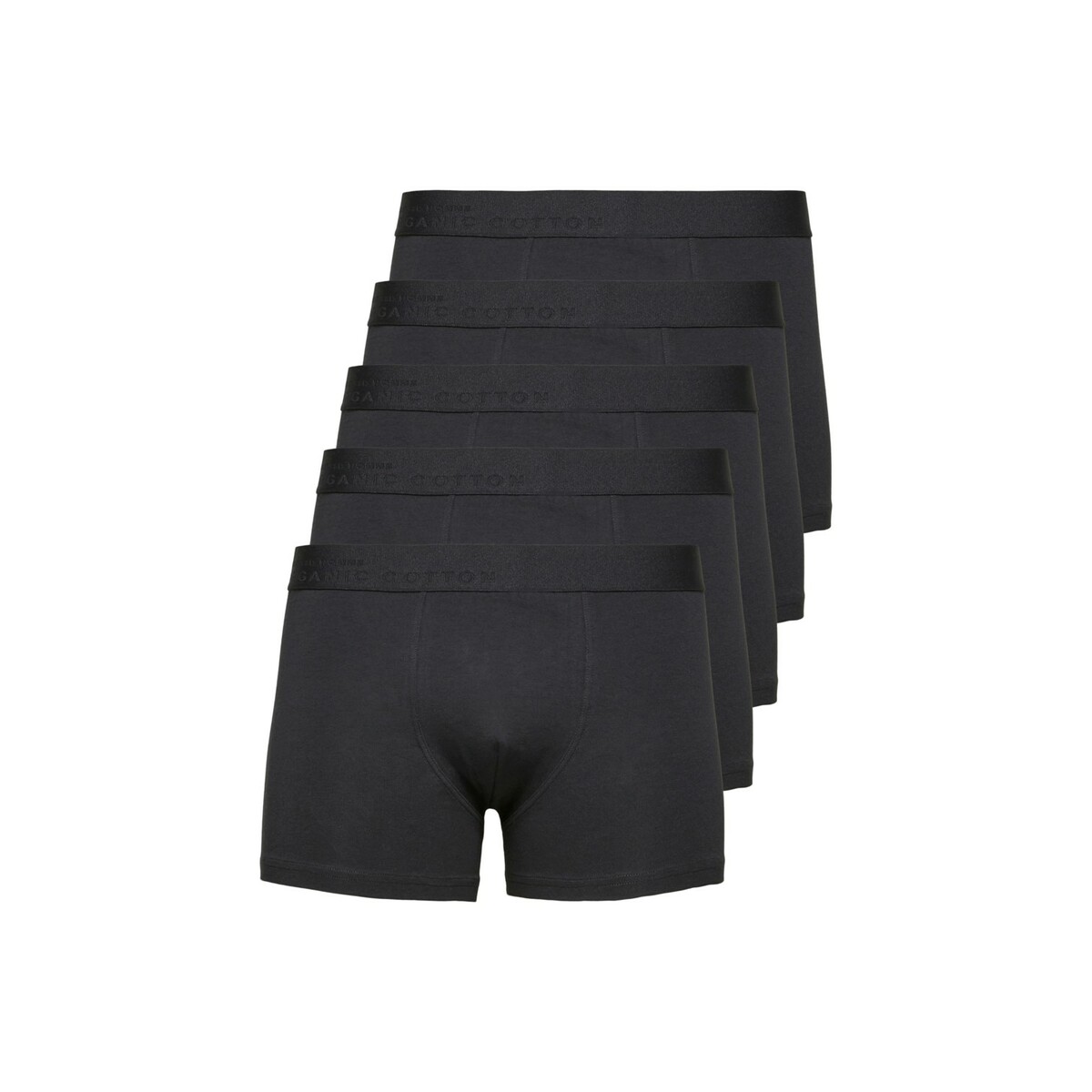 5714913507956 - Satz von 5 Boxershorts Haiden