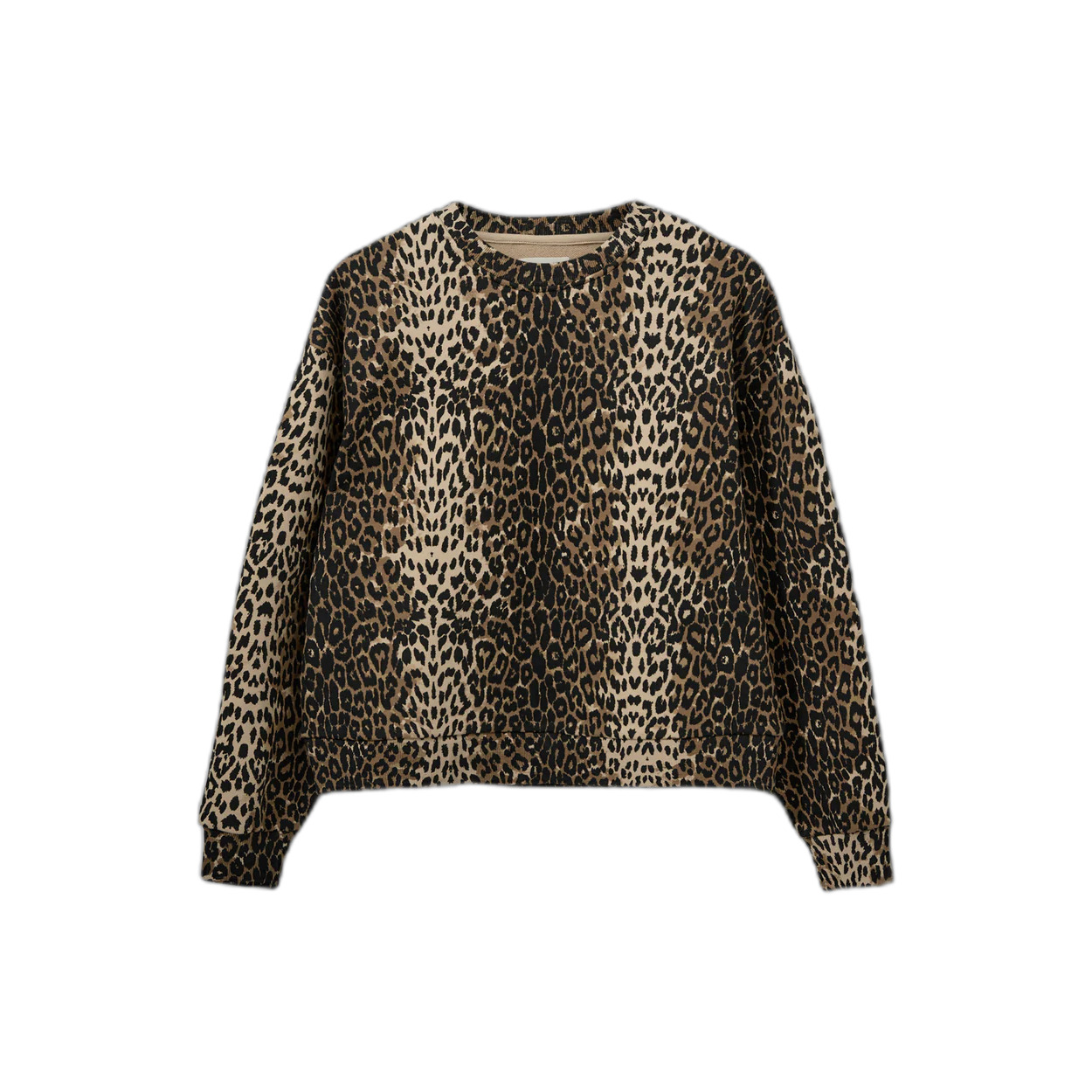 5715202779344 - Sweatshirt Damen Elisw