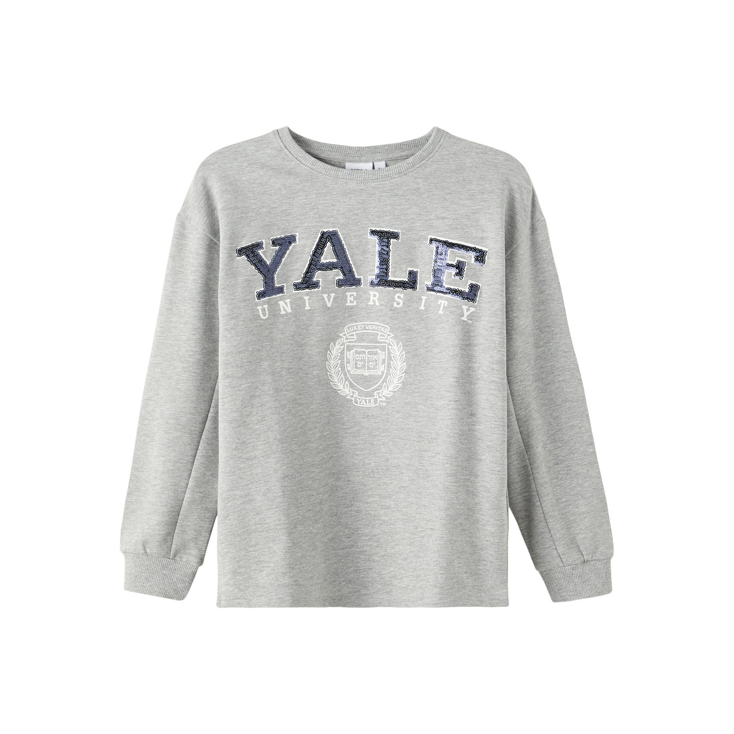 5715305998536 - Sweatshirt Mädchen Name it Zassa University