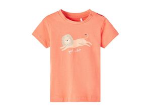 5715363438357 - - T-Shirt NBMFUNO - LION in coral Gr56