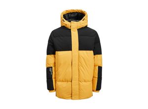 5715416707676 - Jack & Jones Jacke FORCE Steppjacke