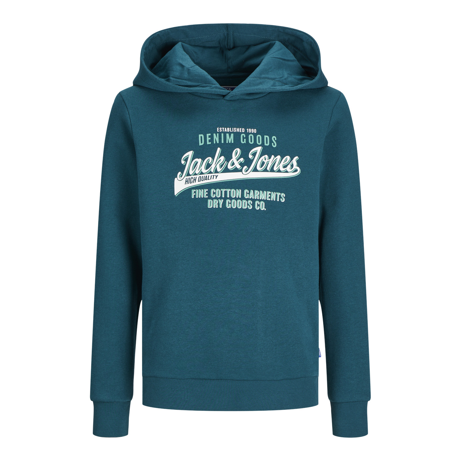 5715603773859 - Kapuzensweatshirt mit Logo für Kinder Jack & Jones