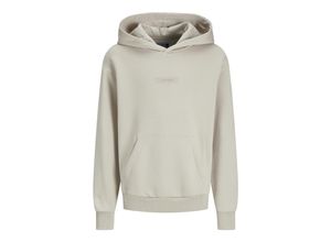 5715612490839 - Jack & Jones Junior Hoodie TAKA Kapuzensweatshirt