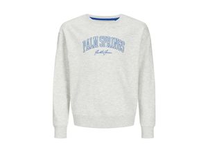 5715676635627 - Jack & Jones Junior Pullover DETROIT Sweatshirt