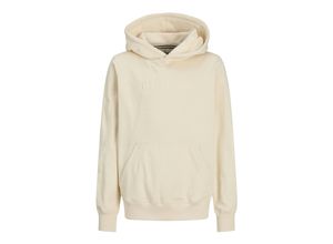 5715715763991 - Jack & Jones Junior Kapuzenpullover FREDERIKSBERG Hoodie