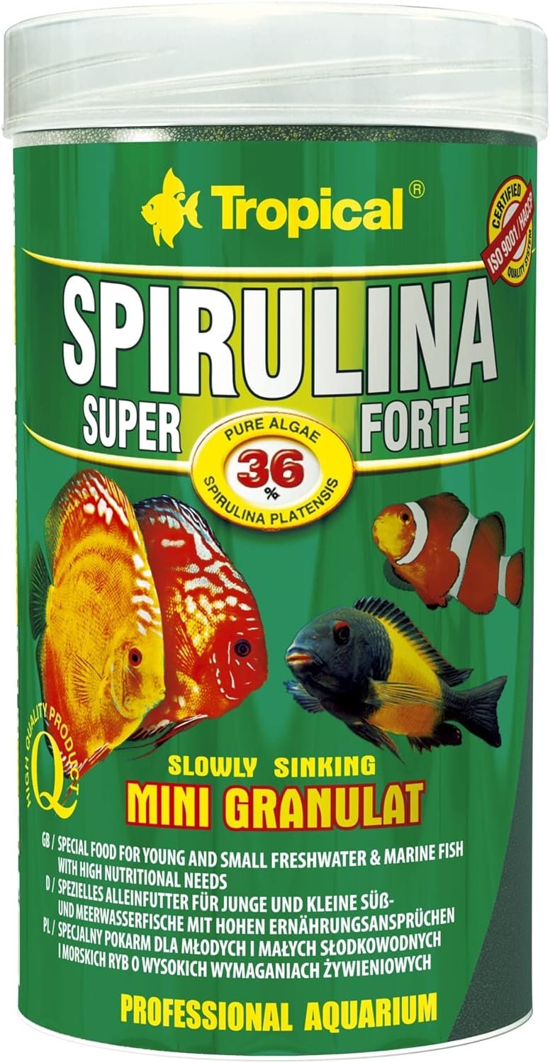 5900469605448 - Super Spirulina Forte Mini Gran 250 ml