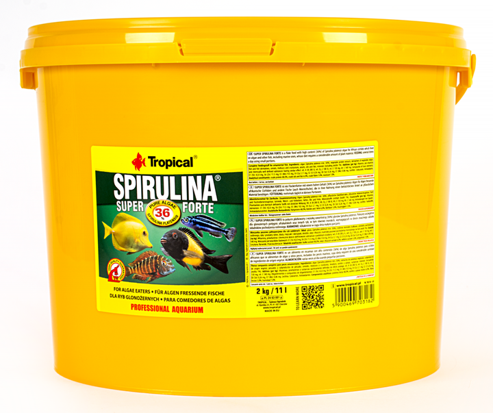 5900469703182 - Super Spirulina Forte 11 l