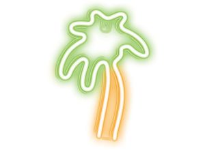 5900495064103 - Forever Light - Neon led Zeichen Licht usb led Licht Home Leuchtschild Nachtlicht Palme-Grün Orange